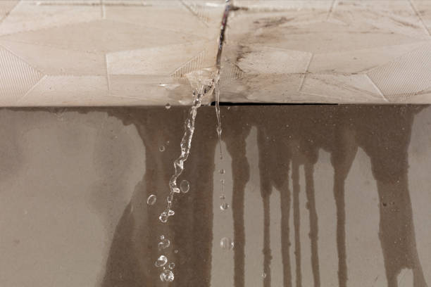 Professional Sewage Cleanup technician working in Le Roy, MN